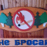 Как вести себя в лесу в пожароопасный сезон - Газета Знамя Труда